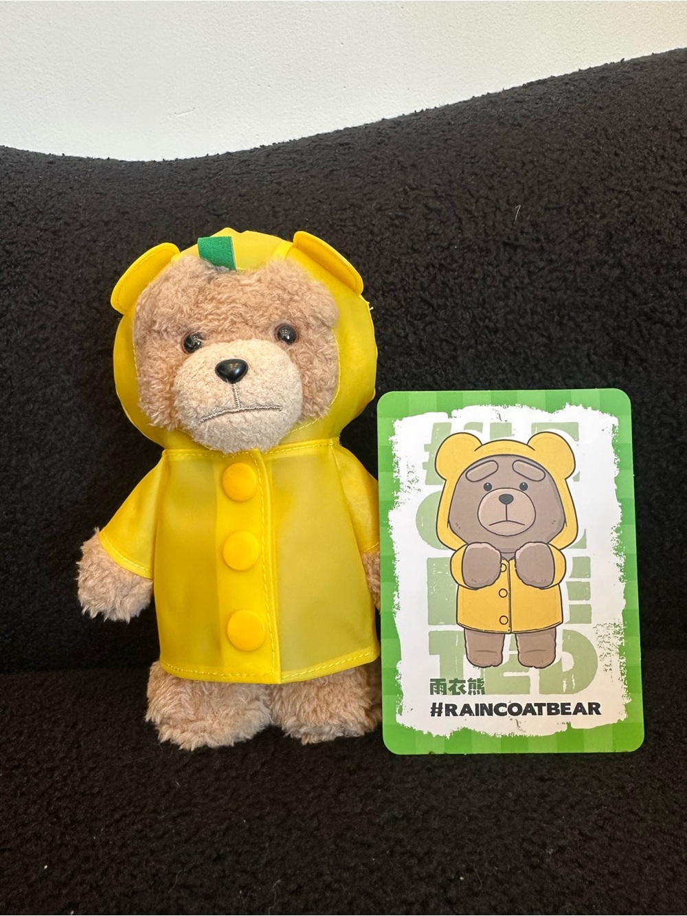 POP MART Ted 2 keychain plushie-Raincoat Bear